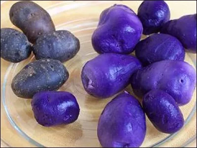 La vitelotte noire est une variété de pomme de terre française traditionnelle qui a la particularité d'avoir une peau et une chair violette. Vrai ou faux ?