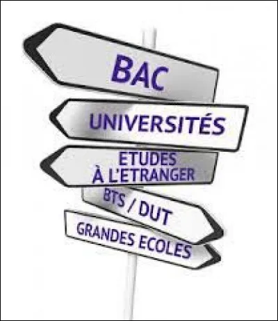 La conseillère d'orientation psychologue peut conseiller les élèves sur...