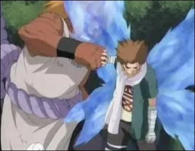 Quelles sont les couleurs des pilules secrètes du clan Akimichi ?