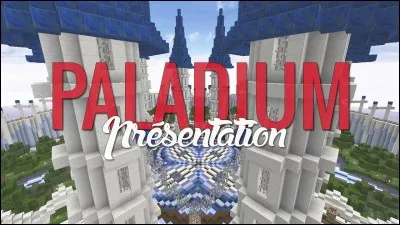 Quelle est la section de ce serveur Minecraft ?