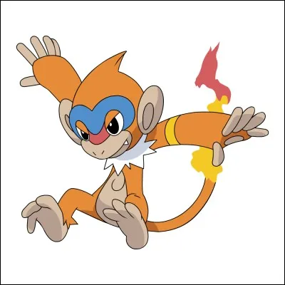 Quel est ce Pokémon ?