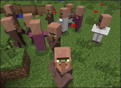 Quelle est la monnaie des villageois ?