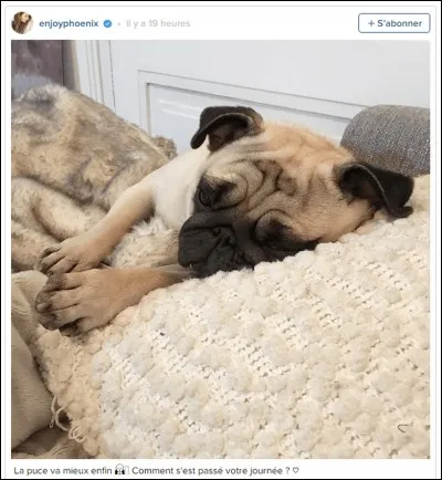 Comment s'appelle sa chienne ?