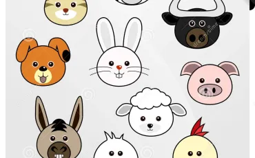 Quiz Animaux
