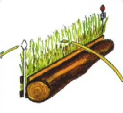 Quel est cet obstacle de cross ?