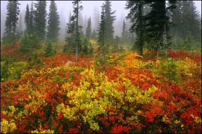 On se fatigue à force de le répéter.