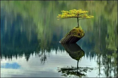 Ses forces nous ont quittés.