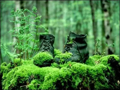 Le gros a de la force à revendre.