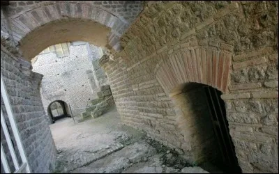 Autrefois en Poitou-Charente-Vendée que signifiait "Un pelun" ?