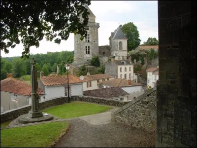 Autrefois en Poitou-Charentes-Vendée qu'était "La brnache" ?