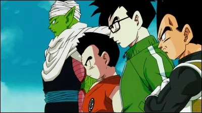 Qui des Z warriors a le plus de potentiel ?