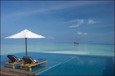 L'écrevisse est un animal extraordinaire, elle ...