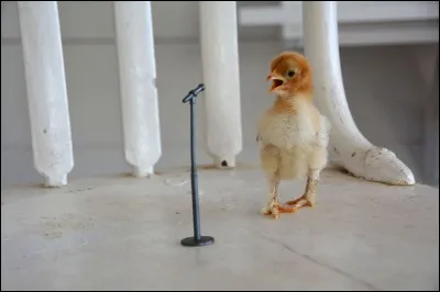 Le chevalier d'Eon était l'espion attitré de ...