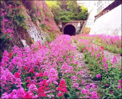 La chanteuse Madonna est apparentée à ...
