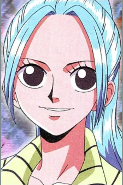 Quel genre de royaume est celui d'Alabasta ?