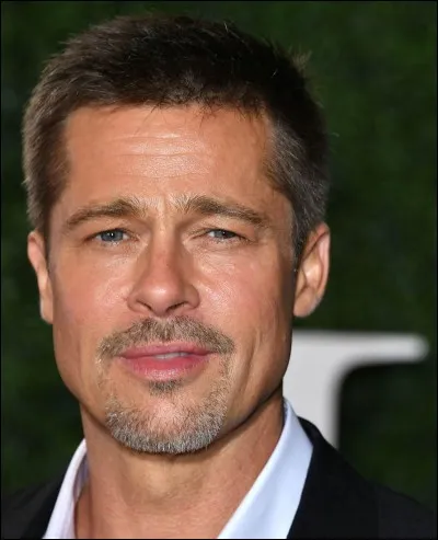 Brad Pitt a jou&eacute; dans :
