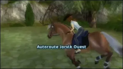 Quelle est la race du cheval de début ?