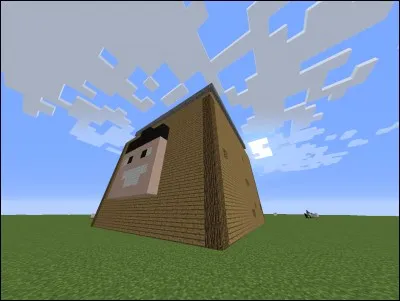 Sur quoi portait sa première vidéo ?