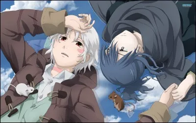 De quel animé proviennent ces personnages ?