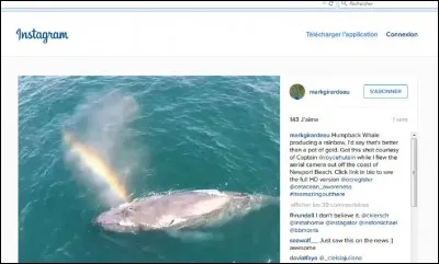 Lorsqu'elle remonte à la surface pour expulser l'eau et respirer, combien le jet peut-il atteindre ?