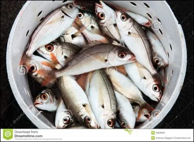 Dans un seau se trouvent 10 poissons, 4 meurent. Combien en reste-t-il dans le seau ?