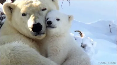 Qui compte le plus pour toi ?