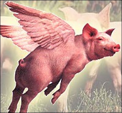 Comme moi, "Les Pink Floyd" aiment le cochon !
Pour un Anglais, quand les cochons volent-ils ?