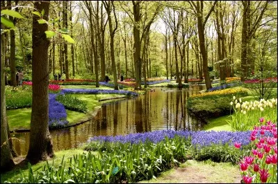 Suite à la bataille de Waterloo, à quel pays appartint la Belgique ?