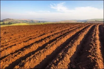C'est la pièce qui supporte le soc d'une charrue :