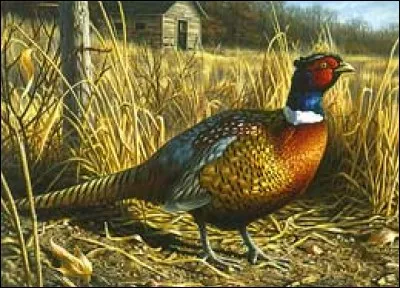 Que doit-on écrire ?