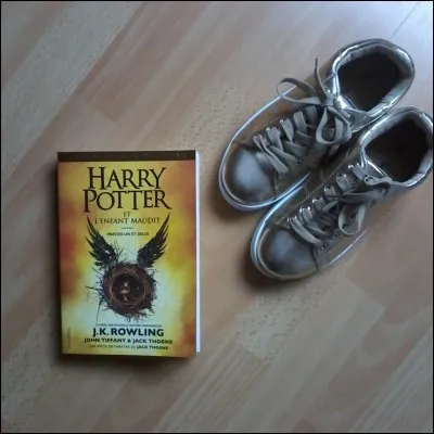 Combien la saga compte-t-elle de tomes ?