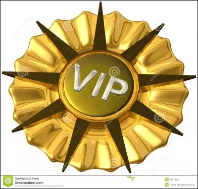 Combien y a-t-il de sortes de VIP ?