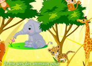 Les animaux dans les expressions françaises 8
