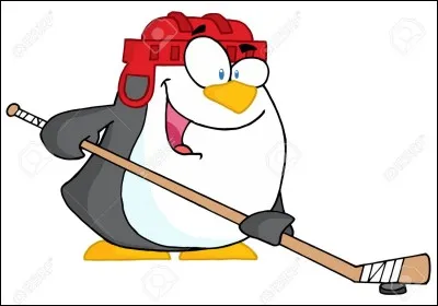 Comment s'appelle ce sport en anglais ?