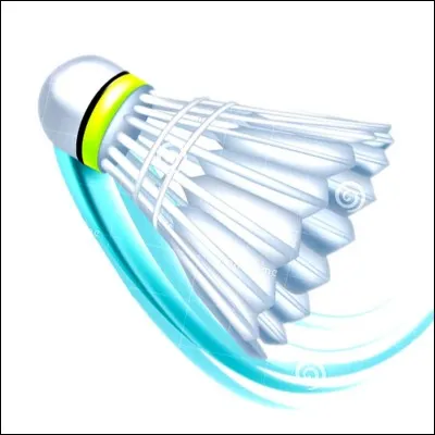 Comment s'appelle ce sport en anglais ?