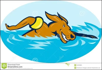 Comment s'appelle ce sport en anglais ?