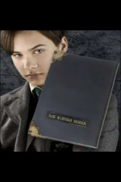 Où le journal de Tom Jedusor était-il caché ?