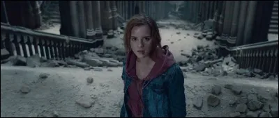 Quel Horcruxe Hermione a-t-elle détruit ?