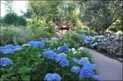 Lequel des deux peut aussi bien être adjectif ou substantif selon l'emploi ?