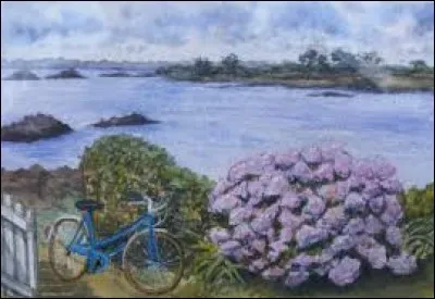 Quand la minette n'est pas le diminutif affectueux pour désigner la chatte, de quoi est-il question ?