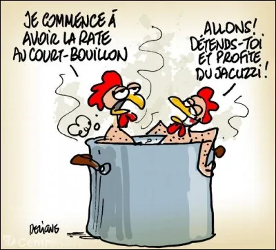 Dans quel état est-on, quand on se met la rate au court-bouillon ?