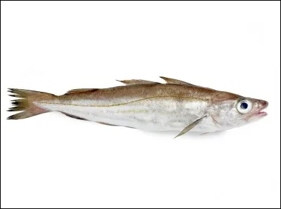 Où vous rendez-vous si vous allez chez le merlan ?