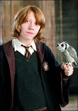 Combien Ronald Weasley a-t-il de frres et soeurs ?