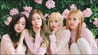 En quelle année le groupe a-t-il débuté ?