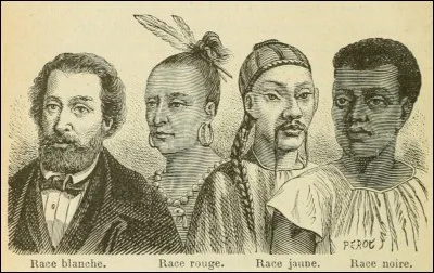 Qui a écrit "Race et Histoire" ?