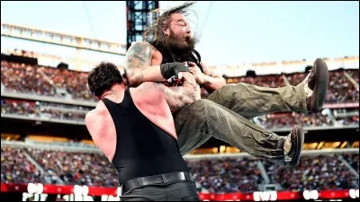 Quelle est cette prise ?