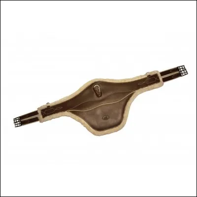 Peut-on utiliser cette sangle en CSO ?