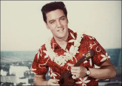 Quel est le nom du film où Elvis est G.o. ?