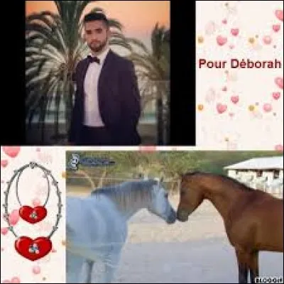 Quelle est la reprise qu'il a faite en 2013 sur youtube?