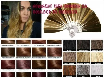 Ta couleur de cheveux est ?